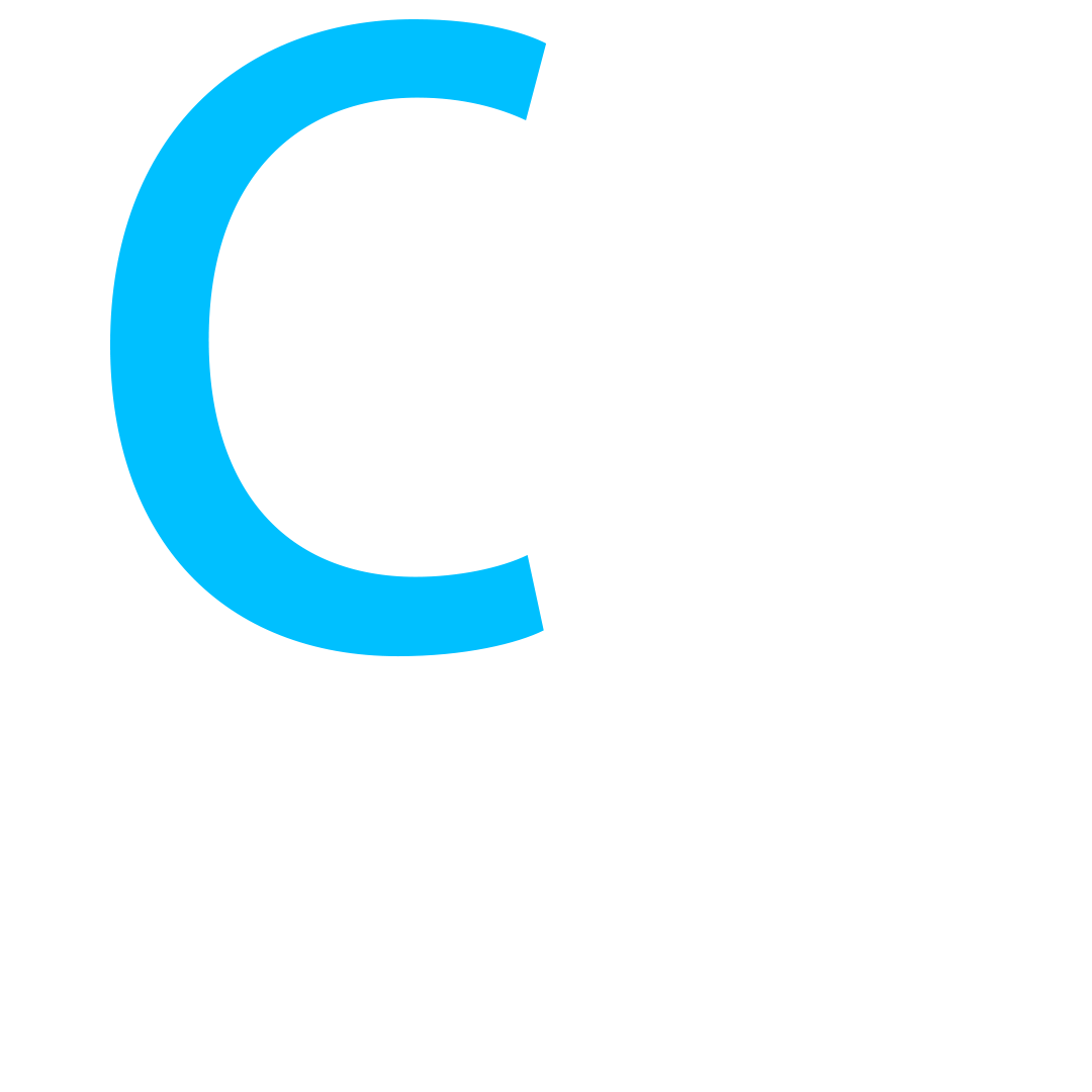 CheapServer Logo